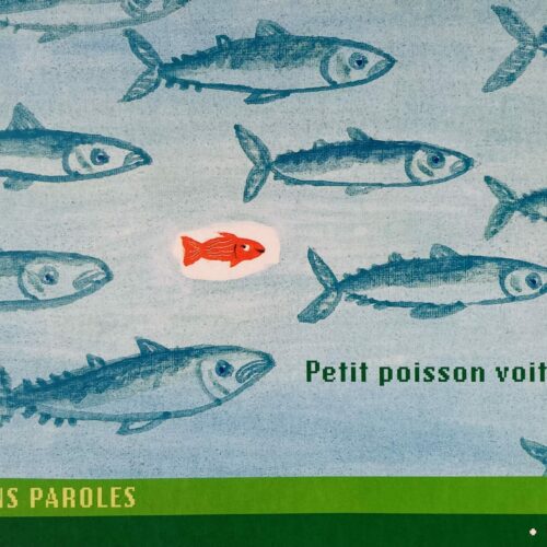 Un verre ( de sirop) et des histoires:                                                        Petit poisson voit du pays
